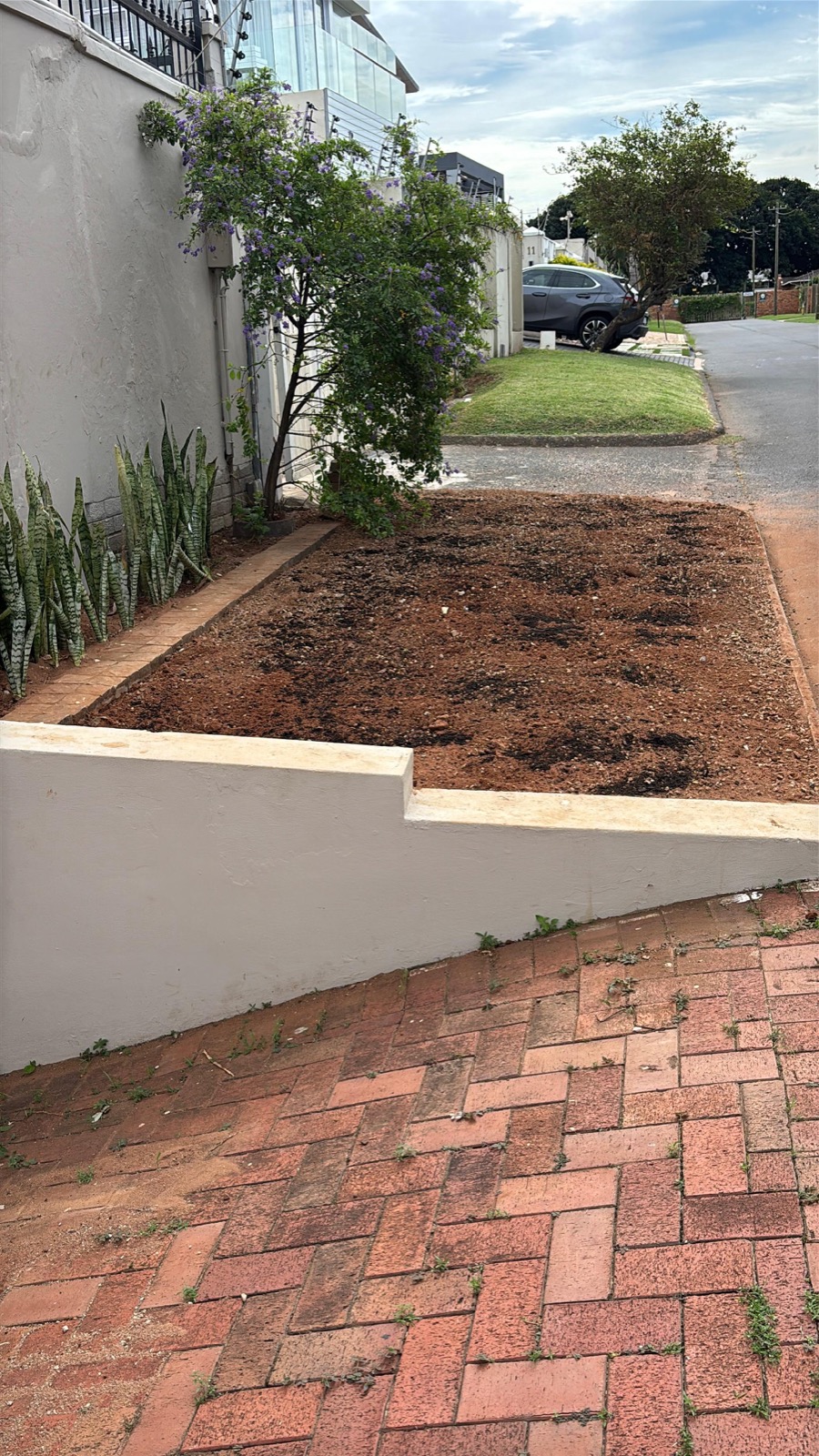 After clean garden bed with neat soil