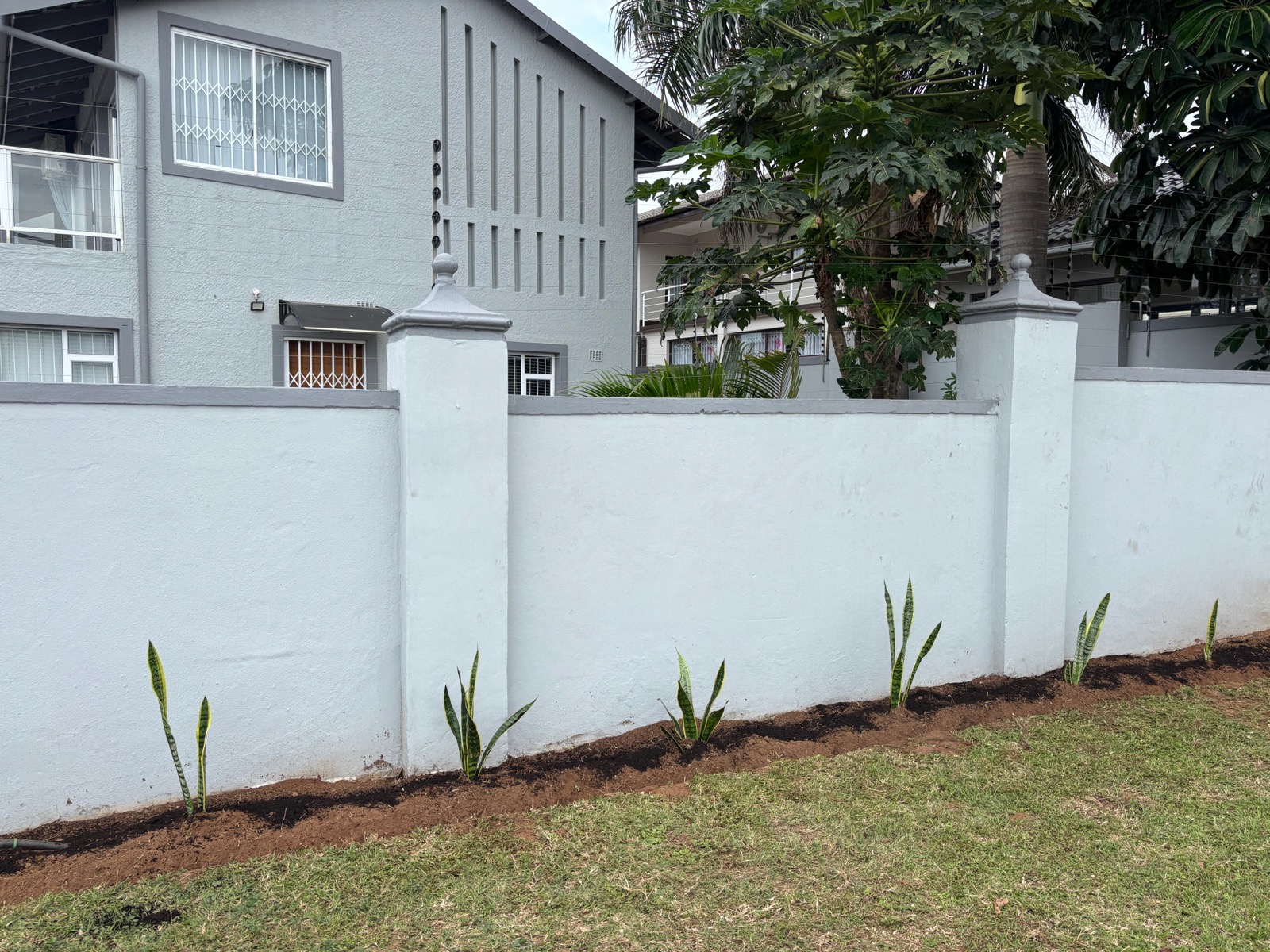 After garden bed clean-up with new plants and tidy soil