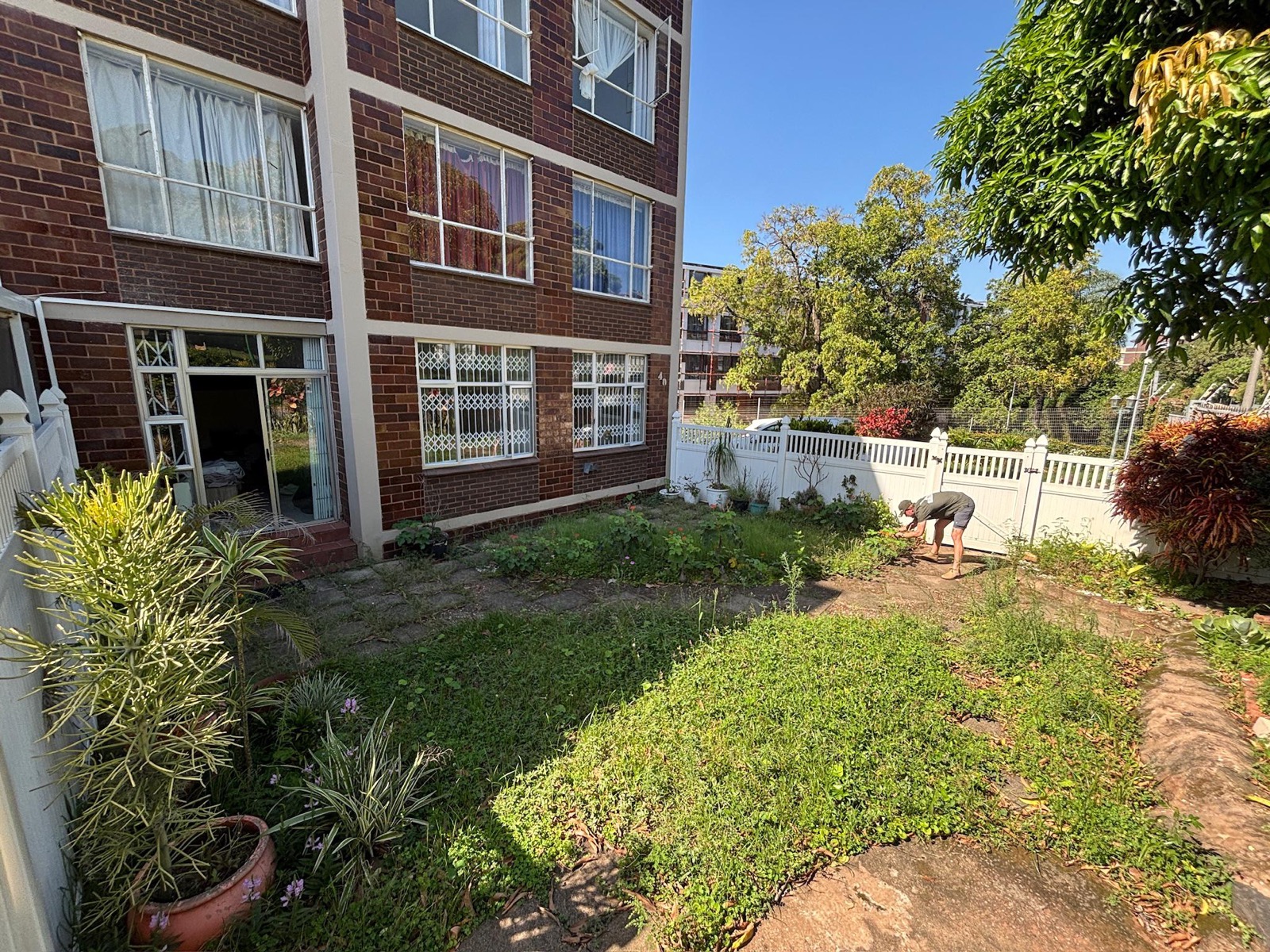Before front garden clean-up at a Durban property